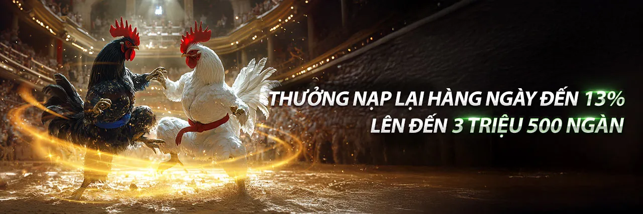 Đá gà Bến Tre Mới Nhất - Hello88